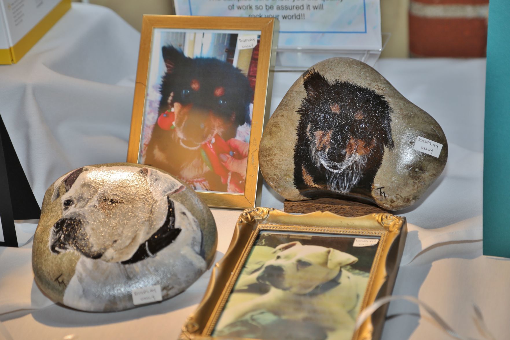 2019-Missouri-Alliance-for-Animals-018.JPG